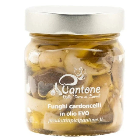 Funghi Cardoncelli